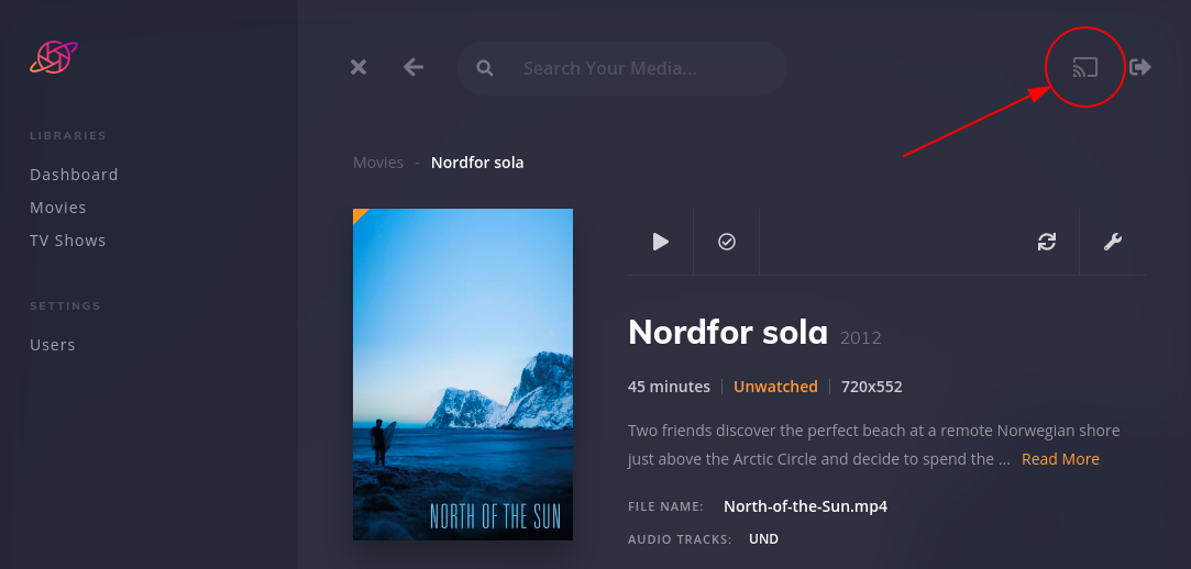 Screenshot of Chromecast functionality